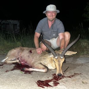 Common Reedbuck Hunt South Africa