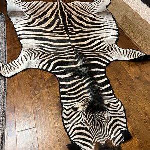 Zebra Skin Rug