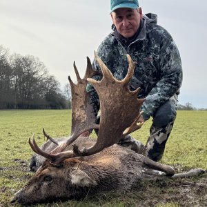 Media 'Fallow Deer Hunt United Kingdom' in category 'Hunting Worldwide'