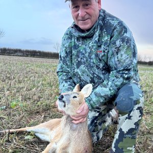 Media 'Chinese Water Deer Hunt United Kingdom' in category 'Hunting Worldwide'