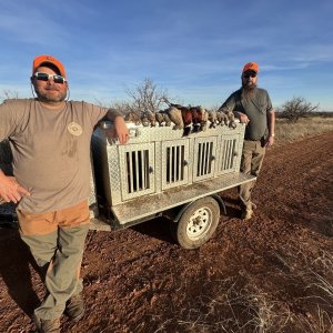 Bird Hunt Texas