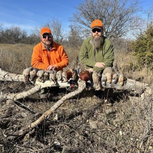 Bird Hunt Texas