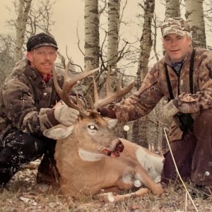 Media 'Alberta Whitetail' in category 'Hunting Worldwide'