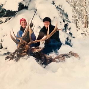 Alberta Elk Hunting