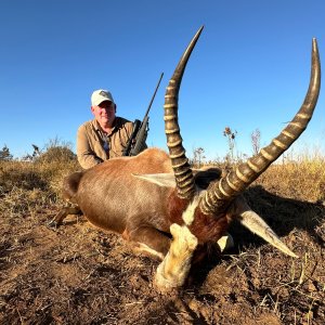 Blesbok Hunt South Africa