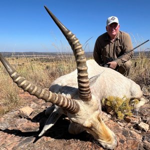 White Blesbok Hunt South Africa