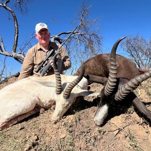 White & Black Springbok Duo Hunt South Africa