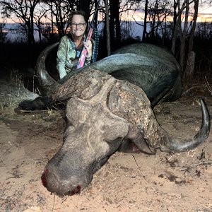 Buffalo Hunt Mozambique