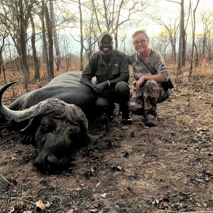 Buffalo Hunt Mozambique