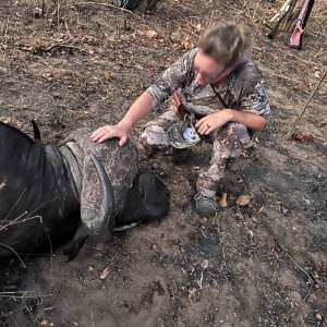 Buffalo Hunt Mozambique