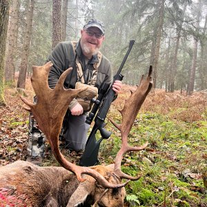 Fallow Hunt Hungary