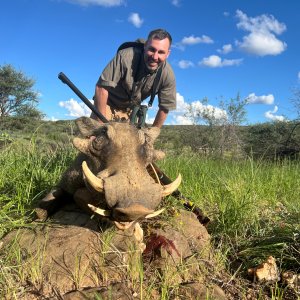 Warthog Hunt Namibia