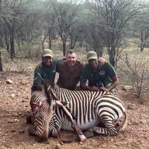 Zebra Hunt Namibia