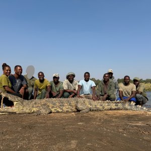 Crocodile Hunt Nyakasanga Zambezi