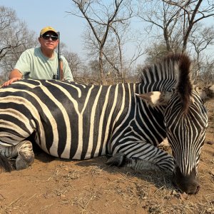 Hunting Zebra