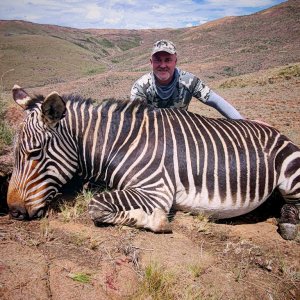 Cape Mountain Zebra Hunt Eastern Cape South Africa