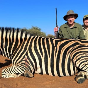 Hunting Zebra