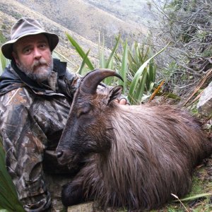 Tahr Hunt New Zealand