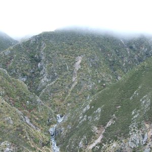 Tahr Country New Zealand