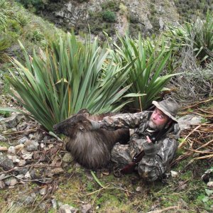 Tahr Hunt New Zealand