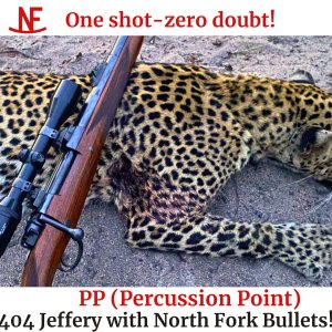 Media '404 Jeffery Custom Rifle North Fork Bullet Reloading Bullets Hunting Hunt Rifle Blaser Saco' in category 'Weapon & Ammunition'