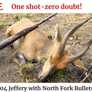 404 Jeffery Custom Rifle North Fork Bullet Reloading Bullets Hunting Hunt Rifle Blaser Saco