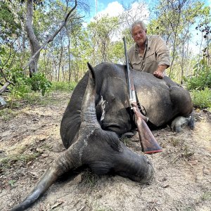 Banteng Hunt Australia