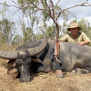 Water Buffalo Hunt Hunt Australia