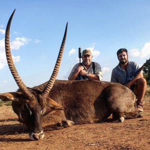 Waterbuck Hunt South Africa