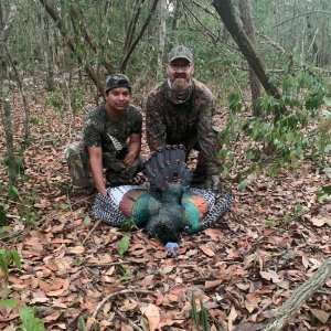 Turkey Hunt Yucatan Mexico State