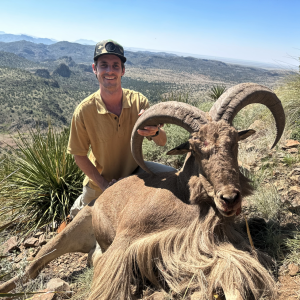 Aoudad Hunt West Texas