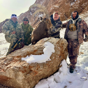 Ibex Hunt Tajikistan