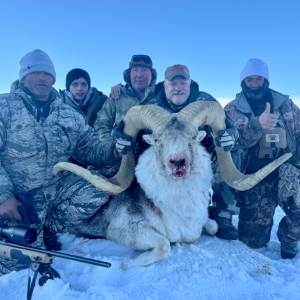 Marco Polo Sheep Hunt Tajikistan