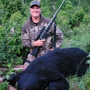 Black Bear Hunting