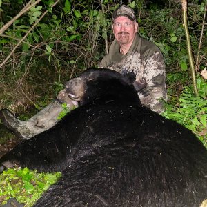 Canadian Black Bear Hunting