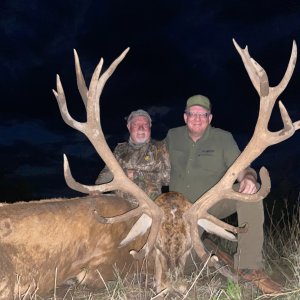 Media 'Red Stag Hunt Argentina' in category 'Hunting Worldwide'