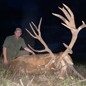 Red Stag Hunt Argentina