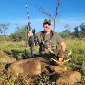 Warthog Hunting Namibia