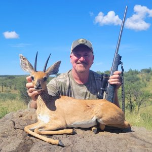 Steenbok Hunting Namibia