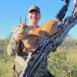 Steenbok Hunting Namibia