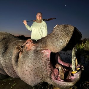 Hippo Hunt South Africa