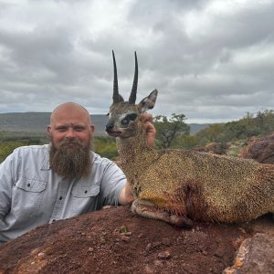 Klipspringer Hunt South Africa