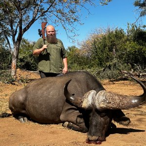 Buffalo Hunt South Africa