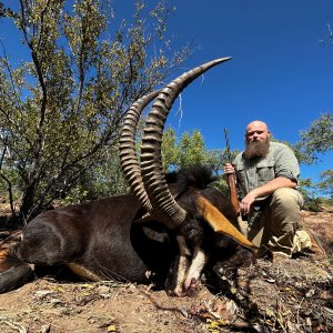 Sable Hunt South Africa