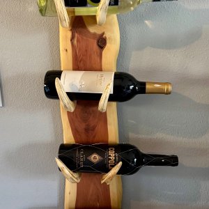 Warthog Tusk Wine Holder