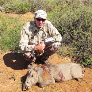 Warthog Hunt Northern Cape South Africa
