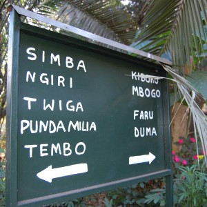 Sign Tanzania