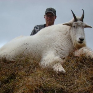 Hunting high alpine mountain goat