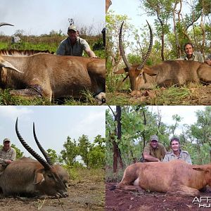 Sing sing waterbuck, Lelwel hartebeest and 32 1/2'' Roan