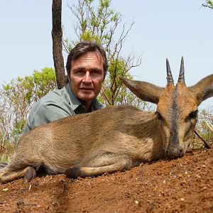 Bush Duiker hunted in CAR